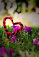 /album/fotos-de-amor/a2473956748-65e3065c73-jpg1/